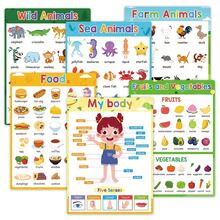 教室必備教育海報 A4 尺寸動物食物水果蔬菜學習圖表海報，適合兒童，教師與學生的互動教學工具，居家學習用品，教室裝飾 - 彩色 - 查看 1