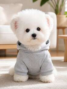 PETCIRCLE 1件寵物衣服，狗/貓戶外/室內服飾，舒適衛衣系列適用於小型犬&幼犬，春季/秋季，印花圖案+素色衛衣 - 淺灰色 - 灰色 - 查看 4