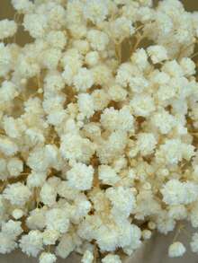 25/50/100/150/300pcs Mini Baby's Breath And Other Artificial Flowers - For Arts And Crafts, Hair Accessories, Wedding Wreaths, Table Flowers, Home Decor, Etc. - Beige - View 2