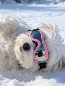 Small Dog Pet Sunglasses, Medium Cat Pet Sunglasses, Pet Goggles Also Can Be Used As Photography Glasses - Multicolor - View 9