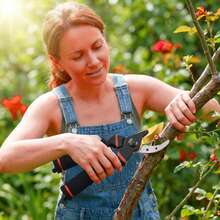 1pc Professional Carbon Steel Pruning Shears, Comfortable Grip, Tree Trimmer, Suitable For Home Garden And Floristry - A - View 4