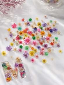 About70/140pcs/Box Colorful Dried Flowers For Jewelry Making, Resin Mold Filling, Jewelry Casting Supplies, DIY Craft Tool, Holiday Decor - Flower Resin Filler - View 5