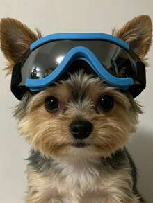 Small Dog Pet Sunglasses, Medium Cat Pet Sunglasses, Pet Goggles Also Can Be Used As Photography Glasses - Multicolor - View 14