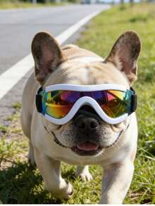 Small Dog Pet Sunglasses, Medium Cat Pet Sunglasses, Pet Goggles Also Can Be Used As Photography Glasses - Multicolor - View 24