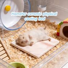 Hamster Summer Essential Cooling Marble Pattern Ice Bed - No Refrigeration Needed, Instant Cooling Upon Lying Down - Ceramic Material, Easy To Clean, Wear-Resistant And Bite-Resistant - Suitable For Hamsters, Mice And Other Small Animals, Ideal Choice For Expanding Small Animal Cages - Hamster - Small Animal Summer Essential Item - A - View 8