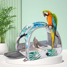 1-Set Foldable Transparent Bird Carrier With Perch And Removable Tray, Breathable Parrot Travel Cage With Panoramic Window And Top Handle For Cockatiels, Conures, Budgies, Pigeons And Small Pets, Outdoor Walks, Vet Visits And Short Trips - View 5