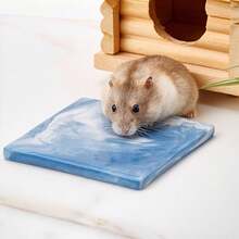 Hamster Summer Essential Cooling Marble Pattern Ice Bed - No Refrigeration Needed, Instant Cooling Upon Lying Down - Ceramic Material, Easy To Clean, Wear-Resistant And Bite-Resistant - Suitable For Hamsters, Mice And Other Small Animals, Ideal Choice For Expanding Small Animal Cages - Hamster - Small Animal Summer Essential Item - A - View 2