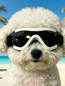 Small Dog Pet Sunglasses, Medium Cat Pet Sunglasses, Pet Goggles Also Can Be Used As Photography Glasses - Multicolor - View 23