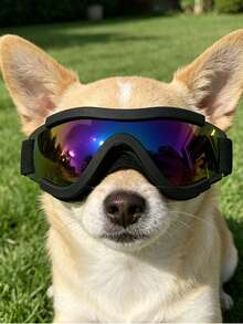 Small Dog Pet Sunglasses, Medium Cat Pet Sunglasses, Pet Goggles Also Can Be Used As Photography Glasses - Multicolor - View 15