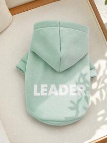 PETCIRCLE 1 chiếc quần áo thú cưng, áo nỉ hai chân dễ thương cho chó & mèo nhỏ/vừa, Leader - màu xanh lá nhạt trơn - màu xanh lá - Xem 1