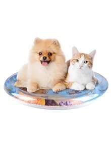 1pc Thick Pet Sensing Water Mat, Cat Sensing Water Play Mat, Cat Cooling Mat, Cat/Dog Water Sensing Mat, Comfortable Inflatable Lying Water Play Mat - Multicolor - View 8