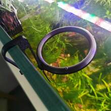 Anillo flotante para alimentar peces impreso en 3D, estación de alimentación de acuario anti-dispersión para mantener el agua limpia - Multicolor - Ver 4
