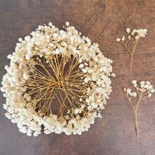 25/50/100/150/300pcs Mini Baby's Breath And Other Artificial Flowers - For Arts And Crafts, Hair Accessories, Wedding Wreaths, Table Flowers, Home Decor, Etc. - Beige - View 1