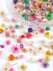 About70/140pcs/Box Colorful Dried Flowers For Jewelry Making, Resin Mold Filling, Jewelry Casting Supplies, DIY Craft Tool, Holiday Decor - Flower Resin Filler - View 2