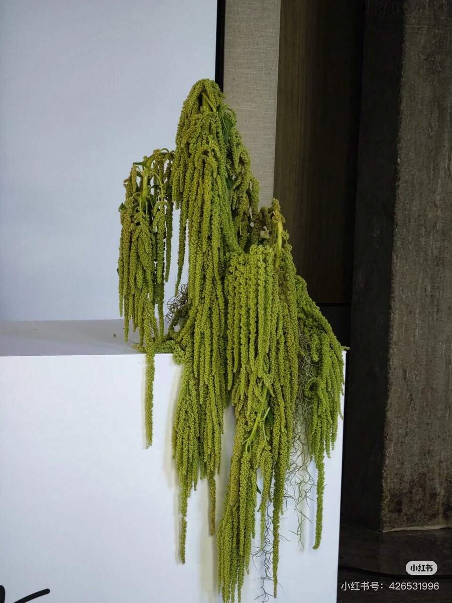 1/2/3/4/5件人造紫藤垂吊花、水滴形串掛植物、婚禮絲綢人造莧花、酒紅色婚禮花、瀑布婚禮花束，適用於婚禮背景裝飾、飯店裝飾、DIY花卉材料、花瓶填充、牆面裝飾、母親節、生日、派對、禮物及其他用途 - 黃綠色 - 查看 1