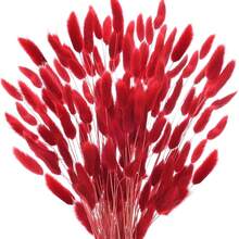 60/120/180/240 piezas Hierba de cola de conejo artificial, tallos de hierba de cola de conejo artificial para decoración del hogar, decoración de bodas, decoración de fiestas, manualidades DIY, accesorios de fotografía, decoración temática - Hierba de cola de conejo roja - Ver 5