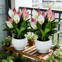 4pcs Artificial Large Plant Set, Includes Multiple 12-Leaf Artificial Plants, Suitable For Outdoor, Christmas, Year-Round Indoor/Outdoor Potted Plants, Applicable For Weddings, Offices, Hotels, UV Resistant, Low Maintenance Photography Props - Multicolor - View 6