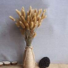 60/120/180/240支人造兔尾草，人造兔尾草莖，適用於家居裝飾、婚禮裝飾、派對裝飾、DIY手工、攝影道具、主題裝飾 - 原色兔尾草 - 查看 6