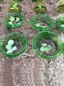 鐘形覆蓋罩 綠色花園鐘形覆蓋罩 | 塑膠植物覆蓋罩 防蝸牛與蛞蝓 - 花園盆栽保護植物套筒 - A - 查看 9