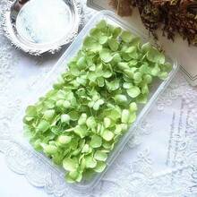 1 Caja de Pétalos de Hortensia Artificial Anna Decoración Floral Material ABS Duradero, Adecuado para Bodas, Decoración del Hogar, Manualidades DIY, Fotografía, Regalo para Cumpleaños, Navidad, Día de San Valentín - Sin Energía Requerida, Decoración de Fiestas, Detalles Hechos a Mano - Multicolor - Ver 18