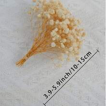 25/50/100/300/Pcs 人造迷你星形亮片 - 用於樹脂模具藝術和手工藝品、髮飾、婚禮花環、桌花、家居裝飾等 - 牛奶白5 - 查看 8