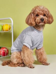 新款純色短袖舒適透氣寵物T恤貓狗小型犬圓領T恤衣物 - 灰色 - 查看 4