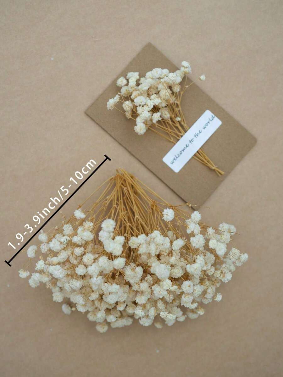 25/50/100/300片 人造迷你星形亮片,適用於樹脂模具藝術與手工藝、髮飾、婚禮花環、桌面花飾、家居裝飾等 - 牛奶白9 - 查看 1