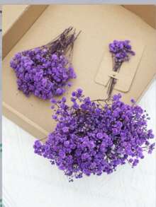Aliento de bebé morado