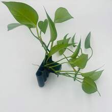 1個帶孔懸掛式水族植物架，適用於浮水植物，魚缸造景裝飾，水族配件，魚缸用品 - 黑色 - 查看 7
