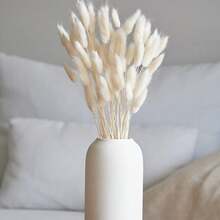 Blanco 2