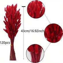 55~60支 17英吋紅色人造兔尾草，仿真兔尾草莖，適用於波希米亞風格花藝、DIY手工、居家廚房、婚禮裝飾、聖誕裝飾、感恩節裝飾、DIY花環裝飾 - 紅色兔尾草 - 查看 5