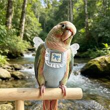 1set Bird Harness Flight Suit, Reusable Parrot Diaper, Washable, Lace Breathable Diaper, Suitable For Cockatiels, Conures, Budgies, Long-Tailed Parrots, Etc. - Multicolor - View 3