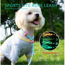 Dog Training Leash With Integrated Glow-In-The-Dark Finish, Anti-Burst, Behavior Correction, And Leash For Outdoor Walks. - Multicolor - View 1