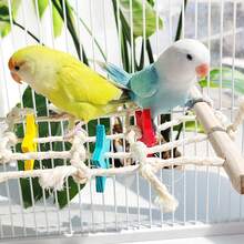 1件裝鸚鵡麻繩攀爬網，緩解無聊的咀嚼玩具，棲架攀爬梯，適用於小鸚鵡/虎皮鸚鵡/牡丹鸚鵡/小型至中型鸚鵡，籠內趣味玩具，鸚鵡玩具，鳥籠配件（珠子與星星顏色隨機） - 繩索軟梯 - 查看 6