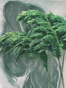 10支/盒 人造芒草裝飾 16.9英吋 仿真蘆葦羽毛花束，白色芒草，適用於波希米亞風格房間花卉裝飾、婚禮花瓶、臥室地板裝飾、人造植物、生日週年禮物、DIY花環裝飾（輕微異味，不影響使用） - 綠色 - 查看 6