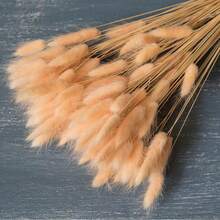 30~240pcs 17-Inch Multicolor Artificial Rabbit Tail Grass, Faux Rabbit Tail Grass Stems For Home Decor, Suitable For Bohemian Style Floral Arrangements, DIY Crafts, Home Kitchen And Wedding Decor, Christmas Decoration - Light Orange - View 4