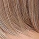 Blonde Highlight