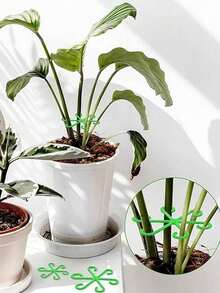 可重複使用塑料植物攀爬支架 - 防傾倒植物支撐架 - 室內植物生長配件，植物支柱 - A - 查看 10