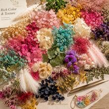 Dried Flower Plant Decor Kit, 4 Boxes Mixed Preserved Flowers & Leaves For Indoor Plant Display, Resin Art, Candle Making, Cards, Frames & DIY Gifts - 4pcs - View 6