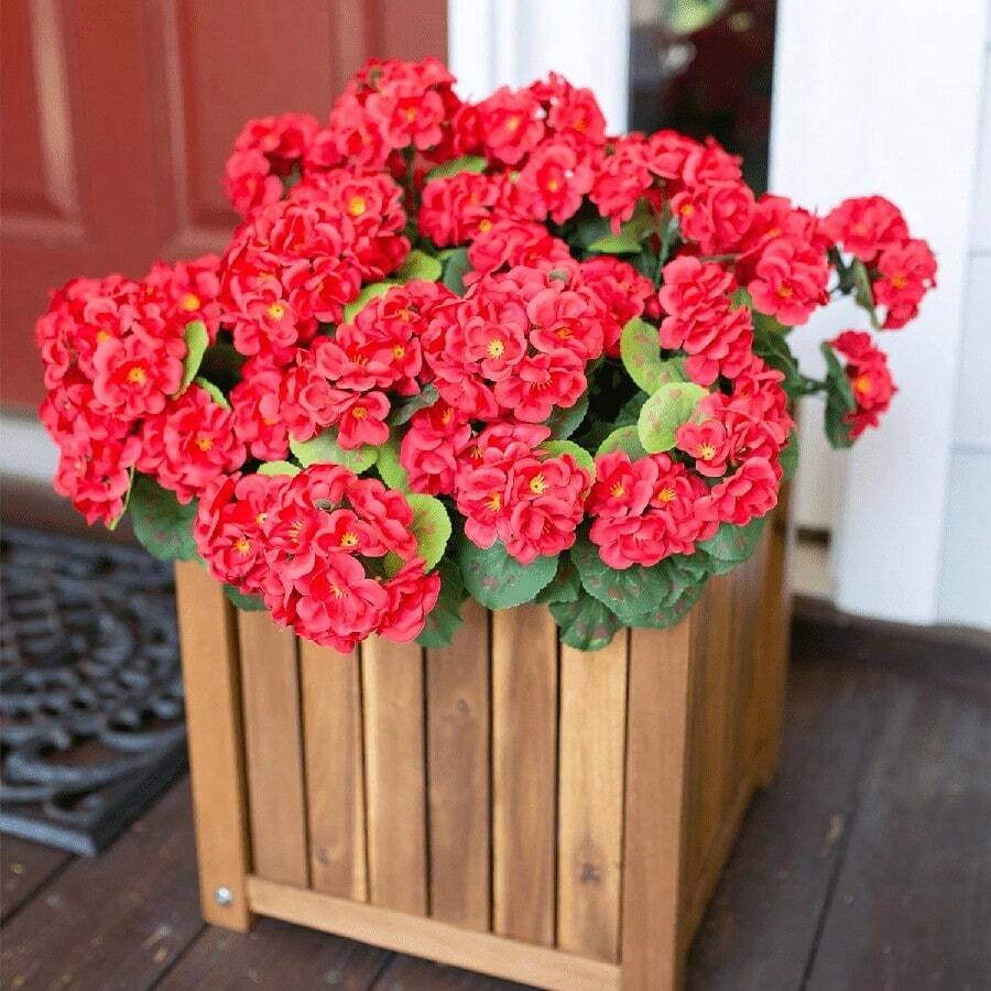 1/2 piezas Ramos de Geranio y Begonia Artificiales Resistentes a los Rayos UV en Rojo, Blanco, Rosa. Flores Falsas Impermeables para Todas las Estaciones para Patio, Jardín, Maceteros, Mesa Interior, Balcón y Puerta Principal, Ideales para Decoración Patriótica del 4 de Julio.