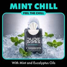 Mint Chill Pocket Packs - Travel Wipes - 6 Packs Of 8 (48 Count) - On-The-Go Adult Flushable Wipes - Infused With Tea Tree Oil, Vitamin E, And Aloe - Septic And Sewer - B - 查看 3