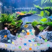 Creative New Mini Realistic Starfish And Seashell Shaped Decorative Ornaments, Suitable For Home, Pool And Aquarium Decoration - Multicolor - View 7