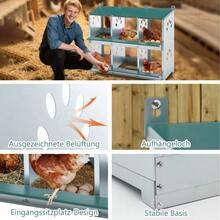 Chicken Nesting Boxes With Nesting Holes And Legs, Including Cover For Outdoor Use ( / Poultry Farm) - 6-hole - View 3