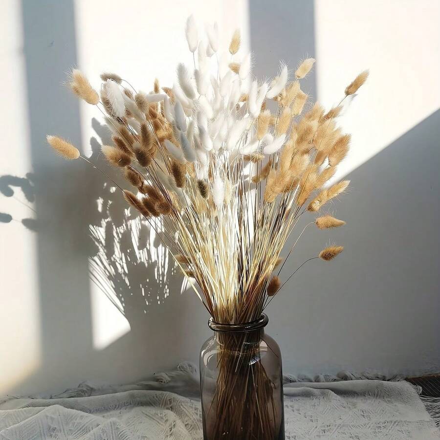 55~60支 17英吋紅色人造兔尾草,人造兔尾草莖用於居家裝飾,適合波希米亞風花藝布置、DIY手工藝、居家廚房與婚禮裝飾、聖誕裝飾、聖誕感恩節裝飾、DIY花環裝飾 - 白褐色 - 查看 1