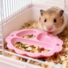 2 Stücke/Set Getreide-Haustiernapf, geteilter Fressnapf, geeignet für Hamster, Kleintiere, Vögel, Kleintierbedarf, langanhaltend und bruchsicher, wiederverwendbar - D - Übersicht 4