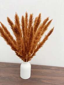 Burning Orange Reeds