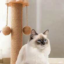 Rascador para Gatos de Cuerda de Sisal Natural, Juguete DIY, Protector de Muebles, Poste Rascador - Diseño de Árbol de Cuerda para Gatitos y Gatos - 4 mm-50 m - Ver 6