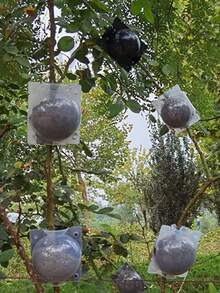 10Pcs Multi-Color Plant Air Layering Propagation Boxes, Tree Branch Rooting Devices, Grafting Tools For Fruit Trees & Flowers, Snap-Lock Design With Vent & Drain Holes, Durable UV-Resistant PP Material, Transparent/Opaque Options, Grow Roots Without Cutting Branches, Fits Various Sizes, Garden Propagation Supplies - Grafting Protective Sleeve - View 2