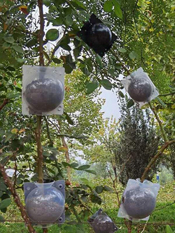 10Pcs Multi-Color Plant Air Layering Propagation Boxes, Tree Branch Rooting Devices, Grafting Tools For Fruit Trees & Flowers, Snap-Lock Design With Vent & Drain Holes, Durable UV-Resistant PP Material, Transparent/Opaque Options, Grow Roots Without Cutting Branches, Fits Various Sizes, Garden Propagation Supplies