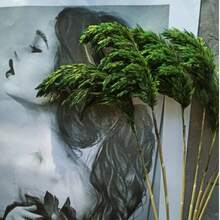 10pcs Artificial Pampas Grass Decorative Flowers, Faux Reed Feather Bouquet, Pink Dried Pampas Grass Preserved Flowers, Suitable For Bohemian Style Indoor Floral Decoration, Wedding Vase Arrangement, Bedroom Floor Display; Also Can Be Used As Faux Greenery, Birthday / Anniversary Gift, DIY Wreath Accessories, Banquet Party Scene Decoration, Florist Floral Supplies. - Green - View 6